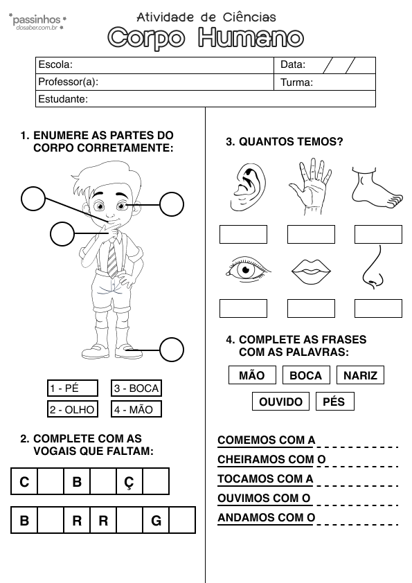 atividade infantil sobre corpo humano para responder